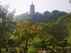 -焦山风景区