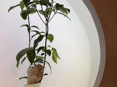-本处·素食·融合料理(南油店)
