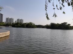 -莱西月湖公园