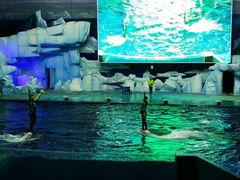 -福州罗源湾海洋世界旅游区