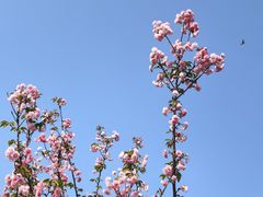 -观澜湖生态运动公社