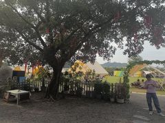 -长洲岛都市农业公园