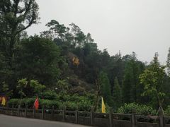 -三水森林公园