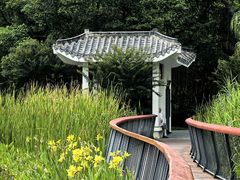 -四海公园(南山区)