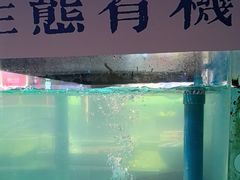 -鸽子侯·家宴·平价海鲜(市图书馆店)
