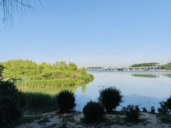 -丁香湖公园