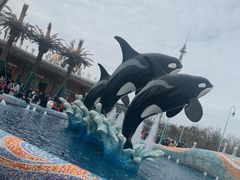 -上海海昌海洋公园