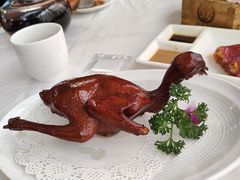 -怀德酒楼·粤菜·海鲜·茶点(宝安国际机场店)
