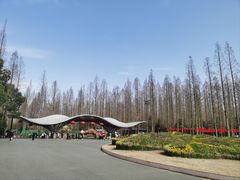 -东平国家森林公园