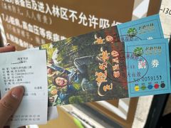 -芦仙山景区-飞越丛林探险乐园