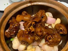 干葱红焖猪手-望乡楼上海菜(日月光店)