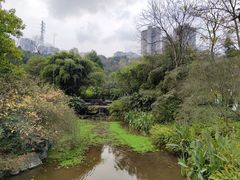 -龙头寺公园