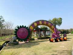 -武汉紫薇都市田园