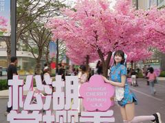 -东莞松山湖万象汇