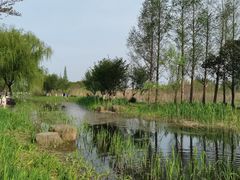 -长田漾湿地公园
