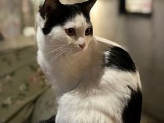 -么么咖啡(燕郊店)