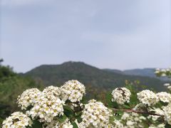 -香山公园