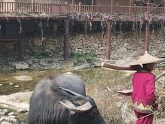 -车溪民俗旅游区