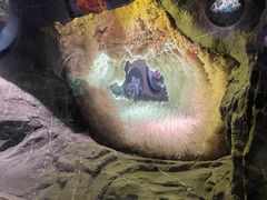 -湖南省地质博物馆