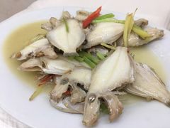 -老三鱼仔店