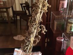 -端艾堂·SPA·艾灸(鸳鸯006店)