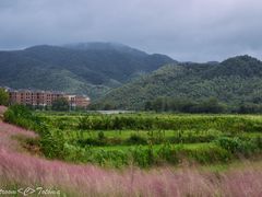 -东钱湖旅游度假区