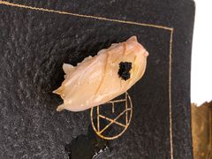 -鮨政·Omakase(万象城店)