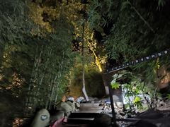 -三江森林温泉度假区