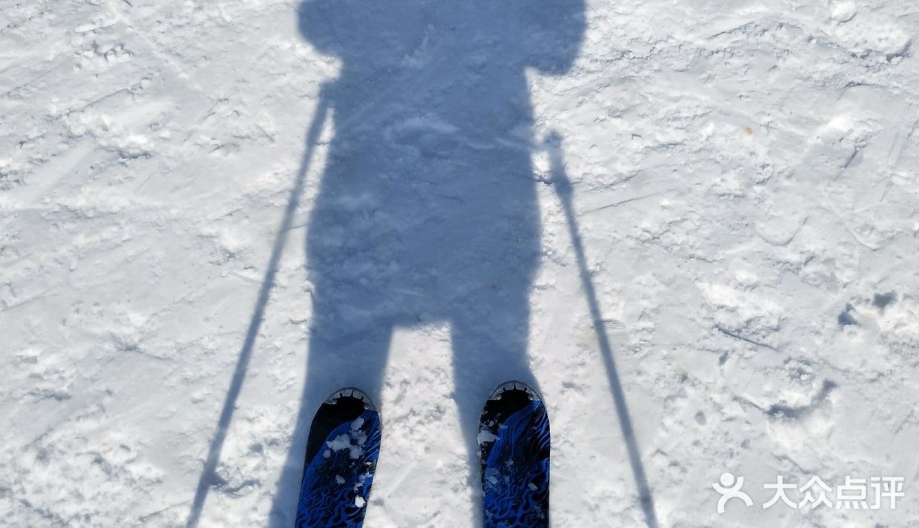 为了不请200块教练而自学的一次浪漫滑雪
