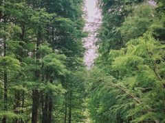 -广州市白云山风景名胜区
