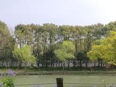 -无锡梅园公园