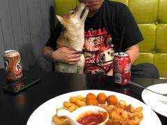 -百好乐宠物友好餐厅(朝外大街店)