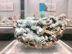 -湖南省地质博物馆