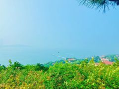 -青岛海滨风景区小鱼山