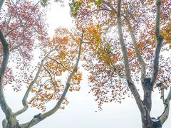 -北山街历史文化街区