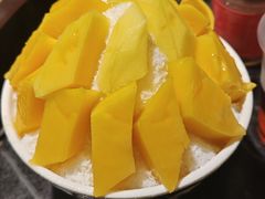 -古木枫老火锅(洪崖洞店)