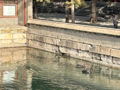 -颐和园