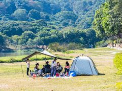 -风云岭森林公园