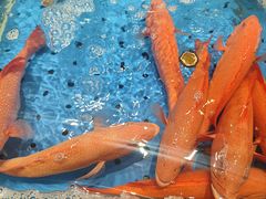 -阿明小菜·海鲜·上海菜(浦建路店)