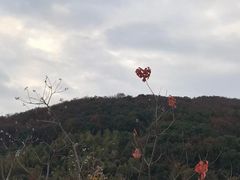 -南北湖风景区