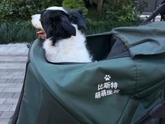 -比斯特上海购物村精品奥特莱斯