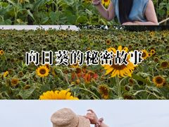 -苏州湾体育公园