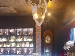 -雪灵魔法世界SHELLY’S TAROT(大良桂畔里店)