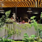 见手青真的会见到跳舞💃🏻小人…………吗