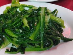 -蛇口康乐快餐鱼仔档(翠苑小区店)