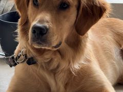 -贝康宠物医院·犬猫全科·小动物特色诊疗中心(东环路店)