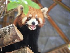-普洱太阳河森林公园
