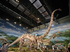 -自贡恐龙博物馆