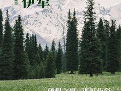 -赛里木湖风景名胜区
