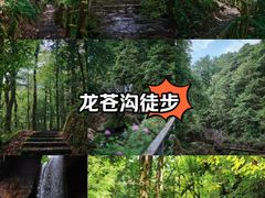 -龙苍沟森林公园